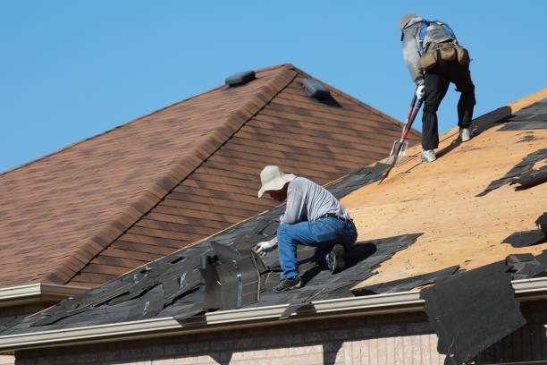 Best Tile Roofing Installation  in Lubeck, WV
