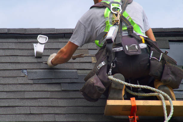 Best Metal Roofing Installation  in Lubeck, WV