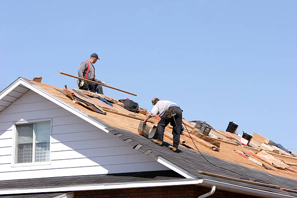Best Sheet Metal Roofing  in Lubeck, WV