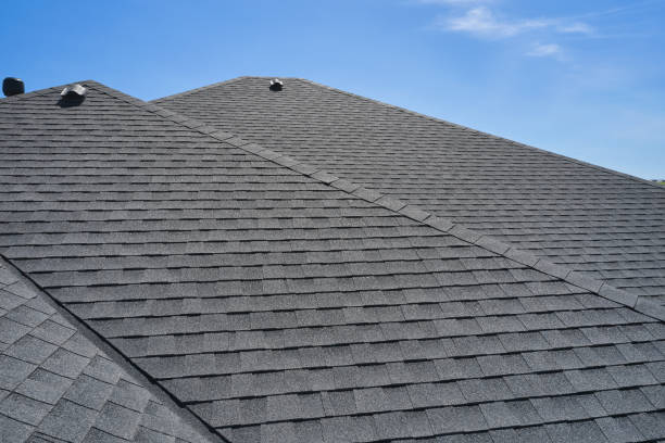 Best Roof Coating Services  in Lubeck, WV